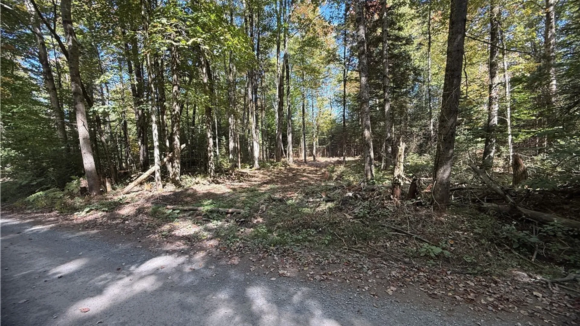 Property at Lot #1 Beaver Trail, Boonville, NY 13301 3