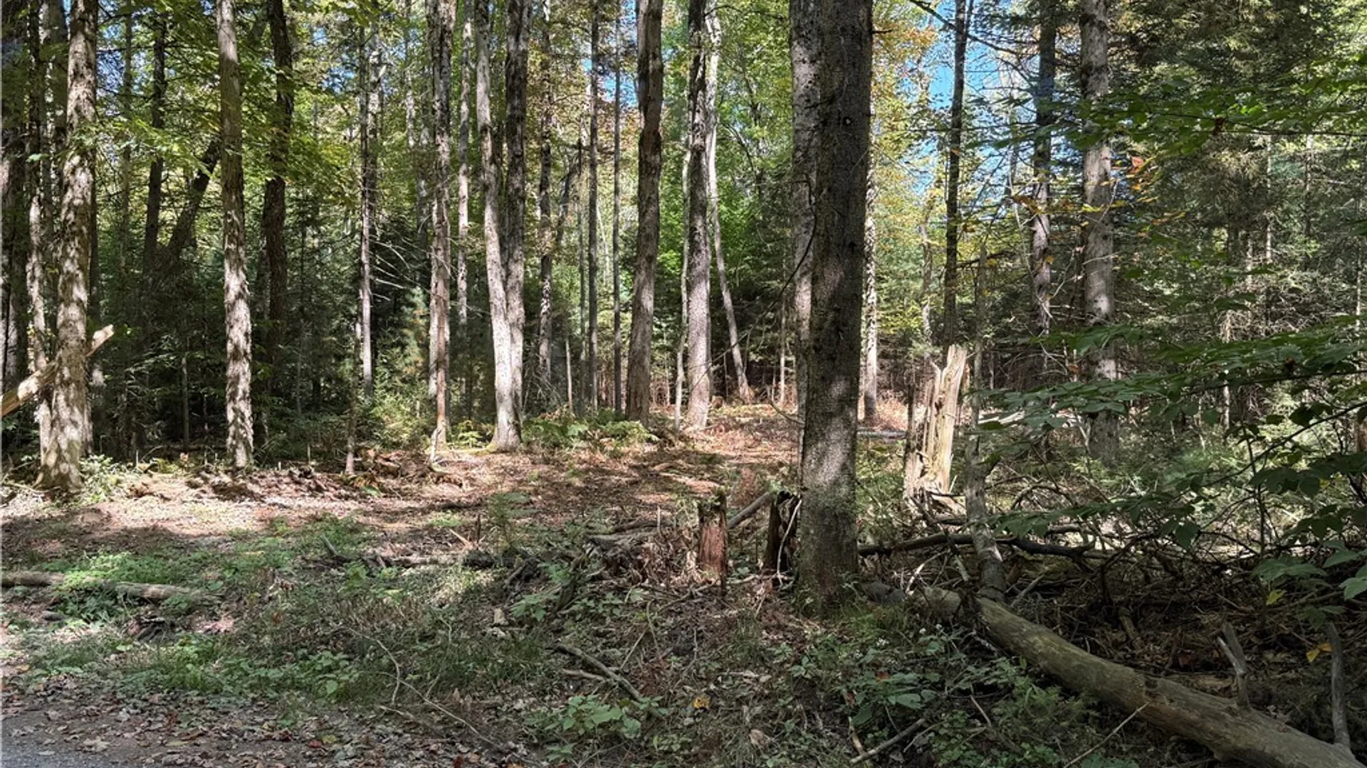 Property at Lot #1 Beaver Trail, Boonville, NY 13301 5
