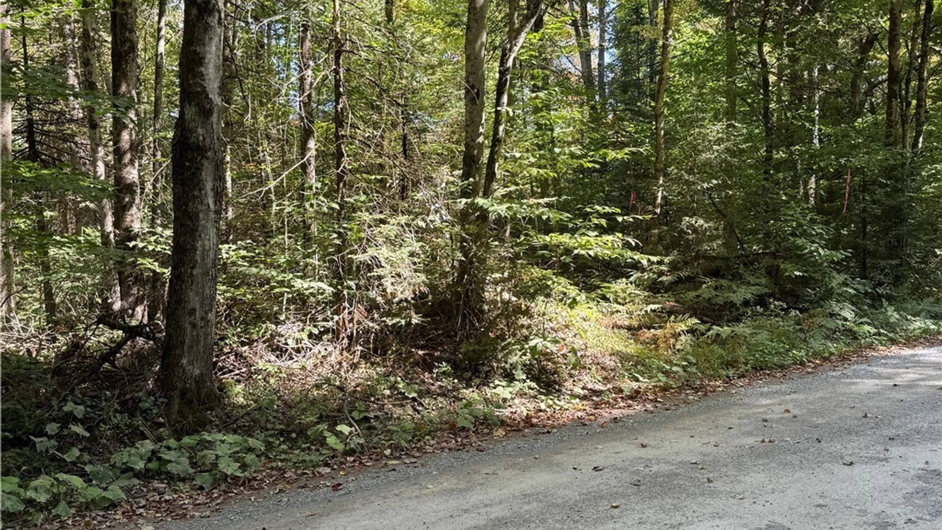 Property at Lot #1 Beaver Trail, Boonville, NY 13301 6