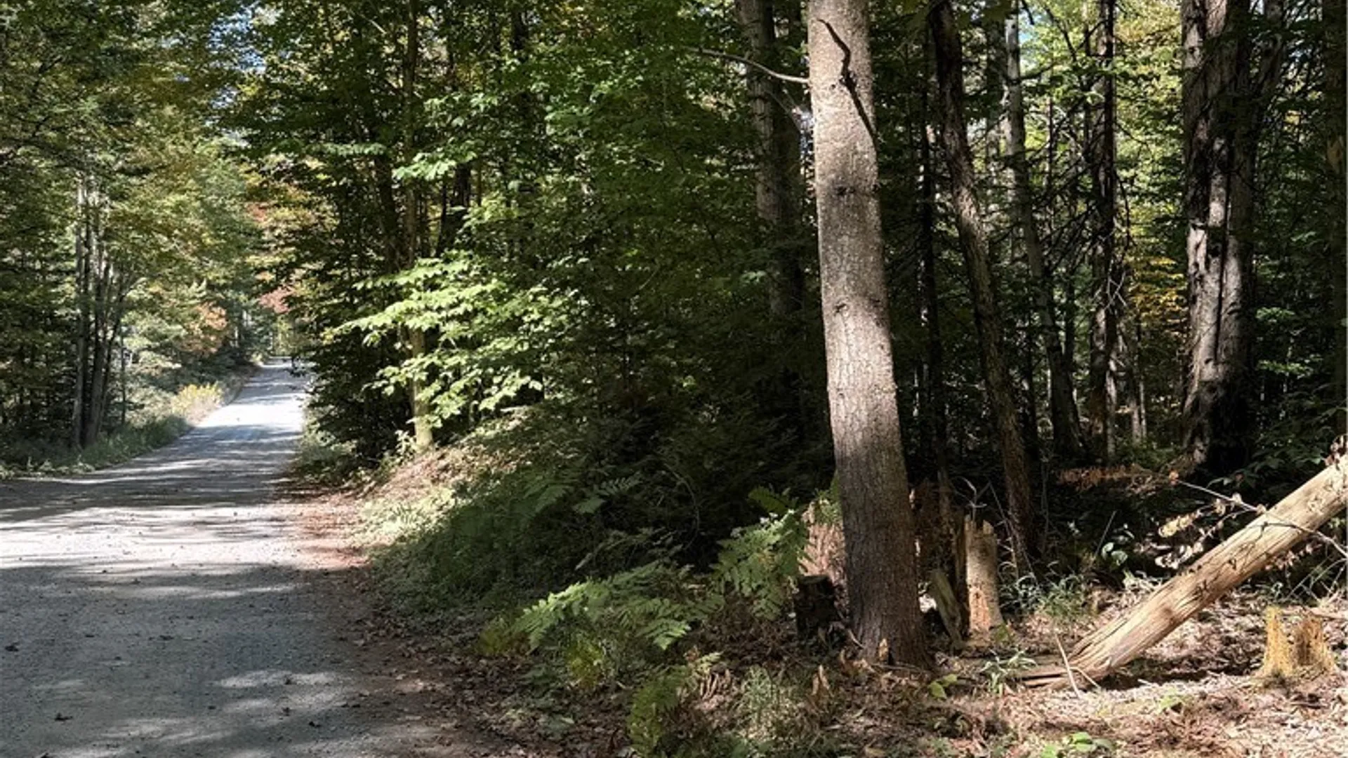 Property at Lot #1 Beaver Trail, Boonville, NY 13301 7