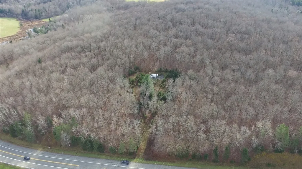 Property at 2056 State Highway 23, Pharsalia, NY 13844