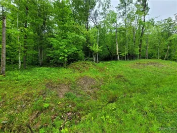 Property at 0 Co Road 24- Lot 7, Grove, NY 14884