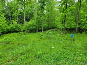 Property at 0 Co Road 24- Lot 14, Grove, NY 14884