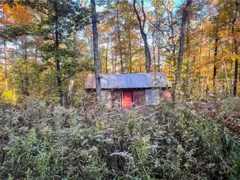 Property at 4474 Mark Smith Road, Hector, NY 14841