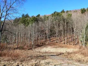 Property at 8555 State Highway 7, Maryland, NY 12155