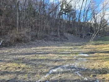 Property at 6600 County Road 36, Canadice, NY 14471