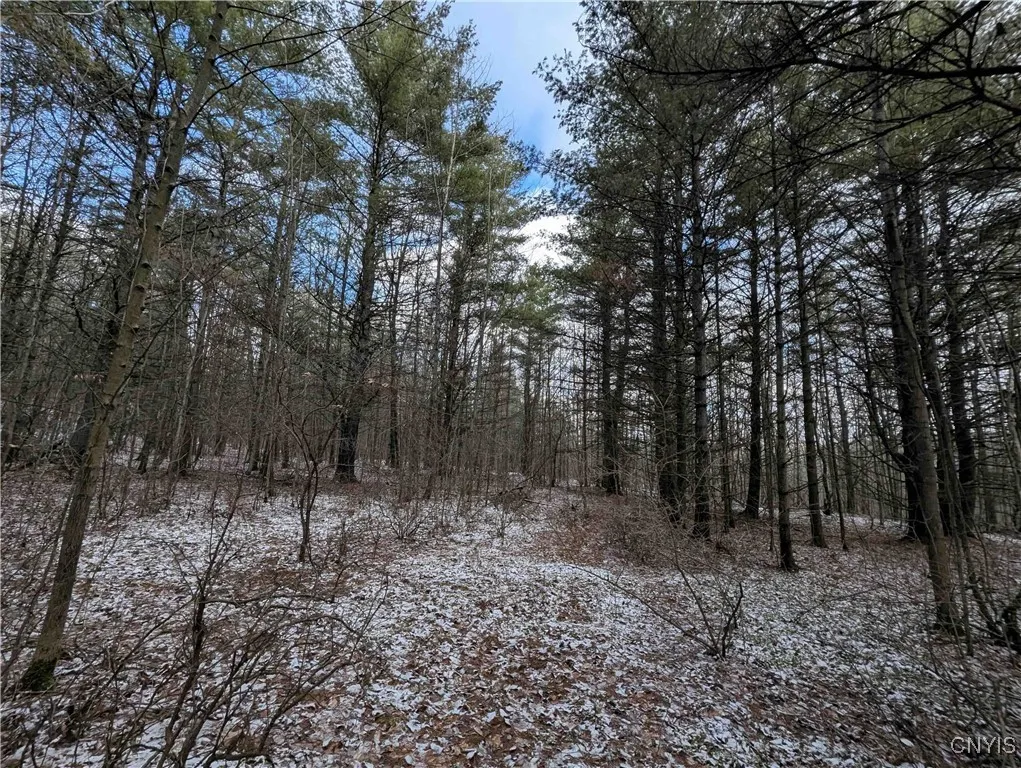 Property at Angel Road, Cameron, NY 14819