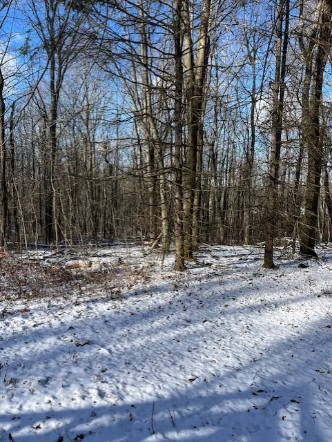 Property at 6975 Echo Mountain Road, Canadice, NY 14560