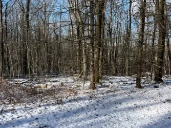 Property at 6975 Echo Mountain Road, Canadice, NY 14560