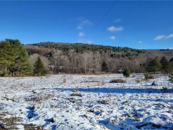 Property at 0 Mary Brown Hill Road, Laurens, NY 13796