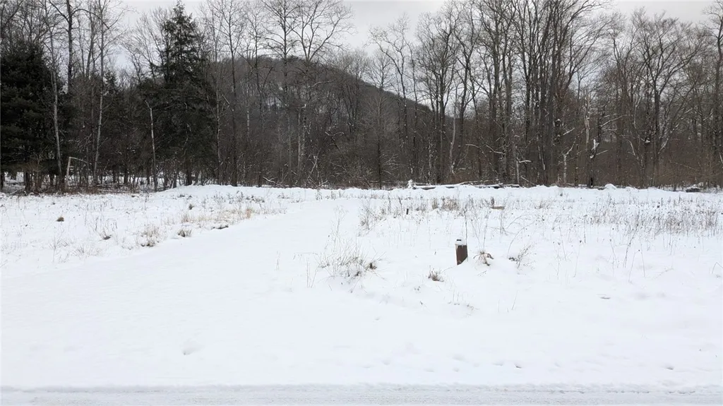 Property at 72 Ccc Road, Lafayette, PA 16740