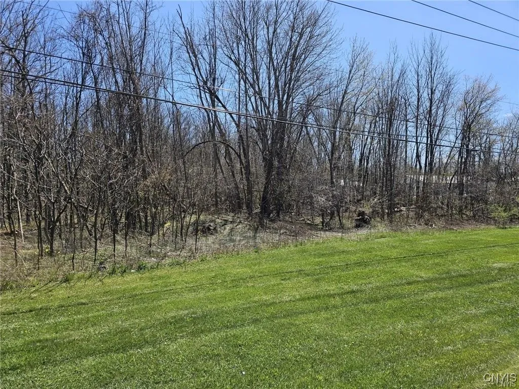 Property at 0 State Route 5, Elbridge, NY 13166