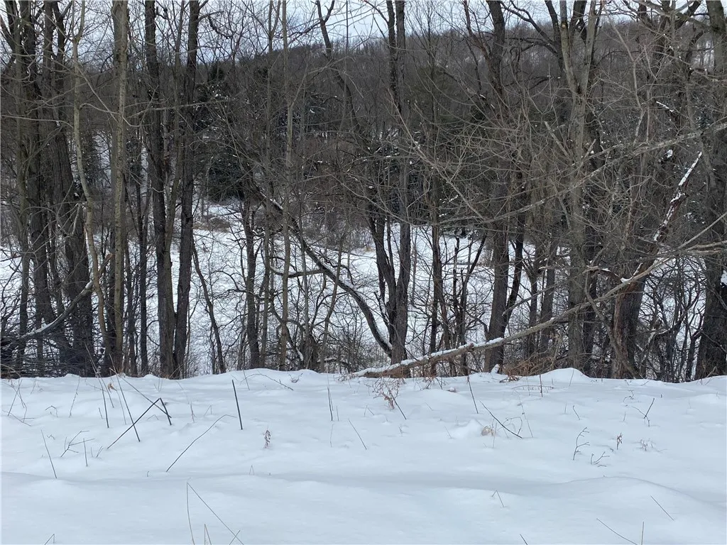 Property at 8470 Tabors Corner Road, Springwater, NY 14572
