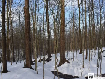 Property at 0 Edson & Harris Hill Rd., Gerry, NY 14740