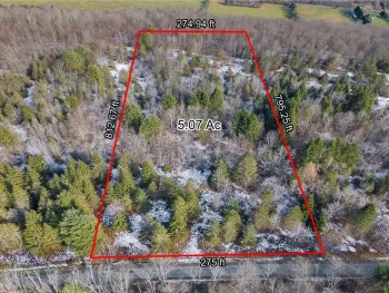 Property at 0 Level Green Road, Caroline, NY 13736