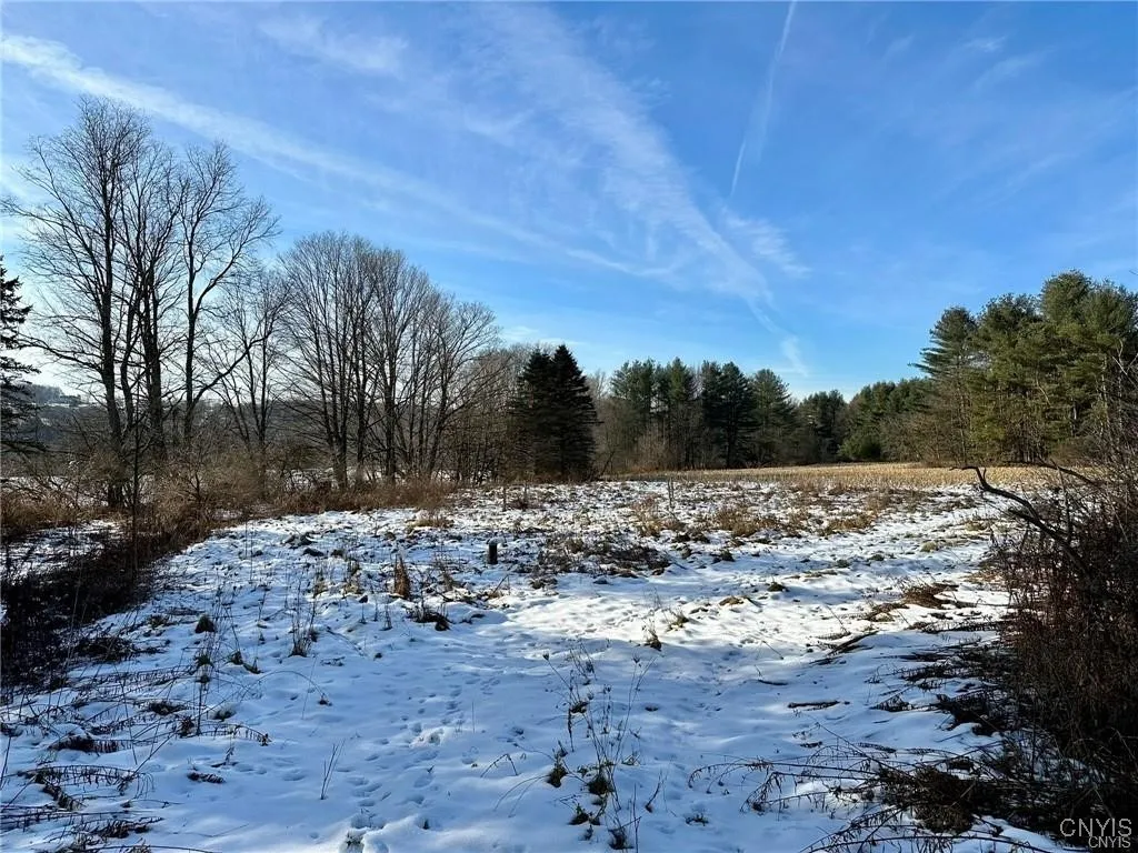 Property at 0 Route 28, Russia, NY 13431