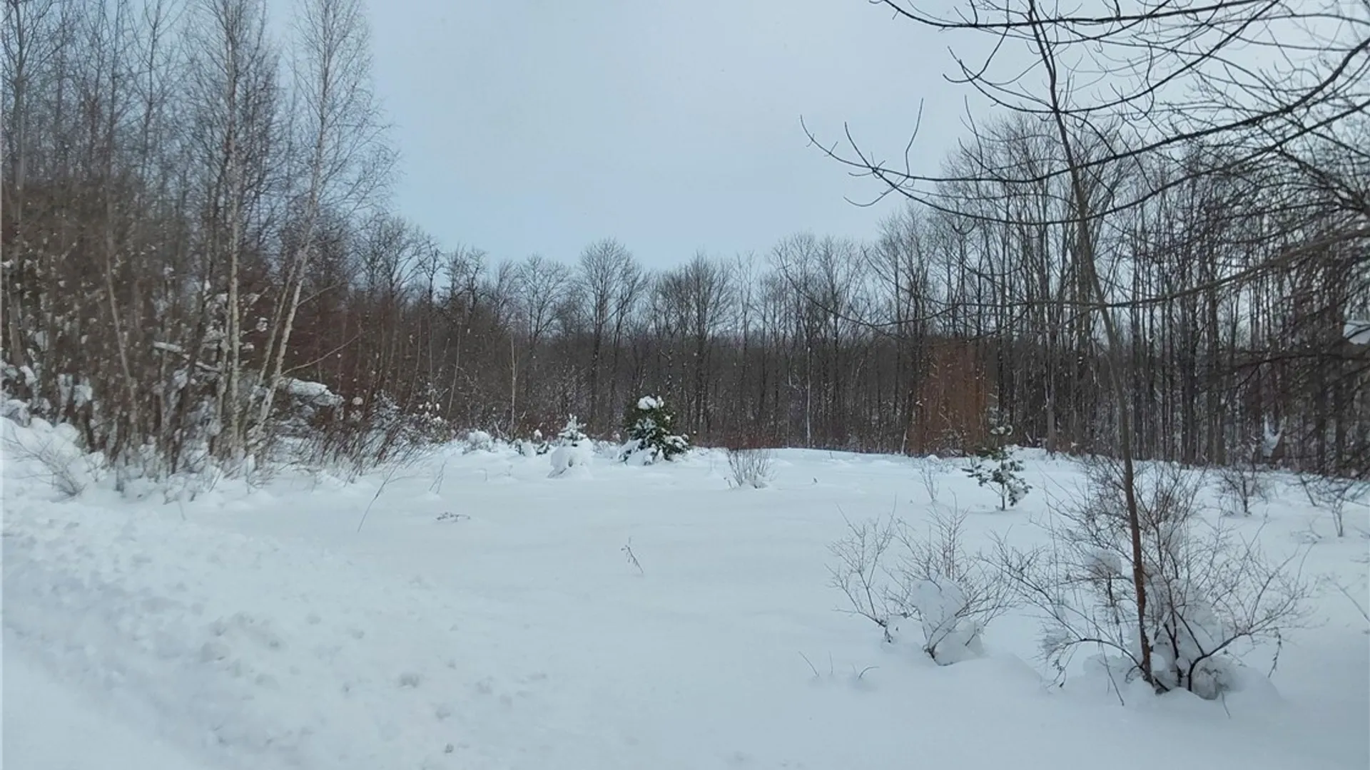 Property at NYS Rt 365, Trenton, NY 13438 15