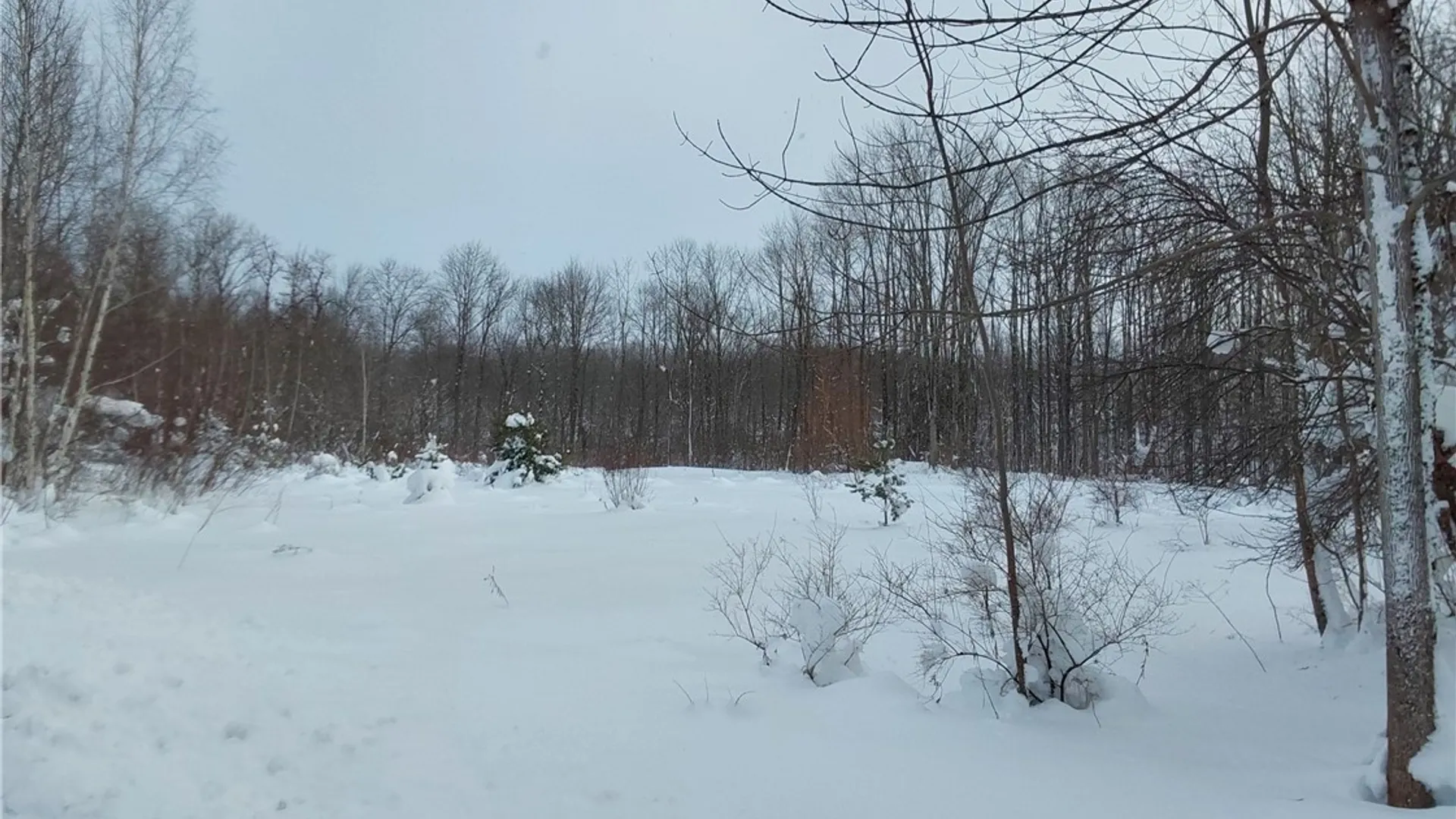 Property at NYS Rt 365, Trenton, NY 13438 18