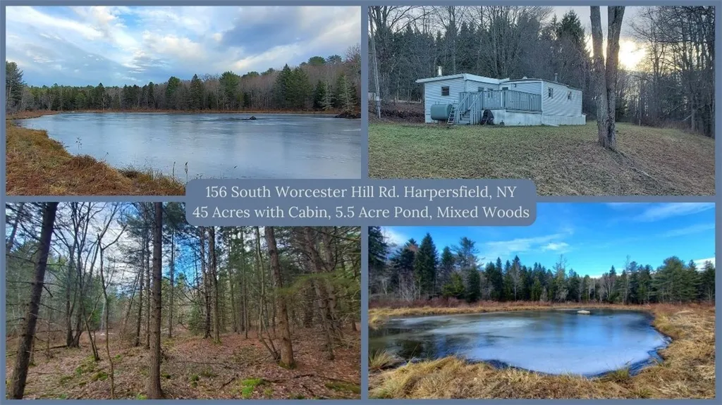 Property at 156 S Worcester Hill Road, Harpersfield, NY 12093