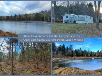 Property at 156 S Worcester Hill Road, Harpersfield, NY 12093
