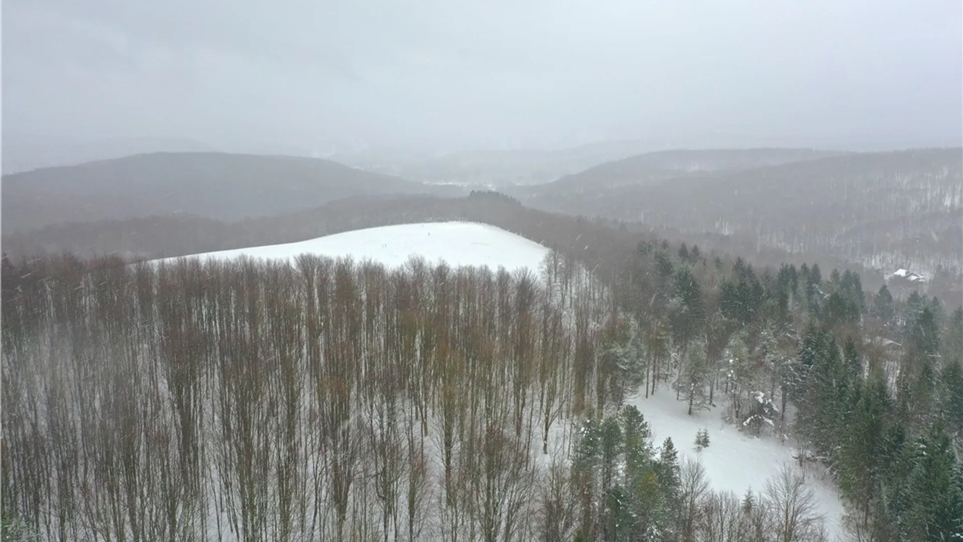 Property at 11 Trail Heights, Ellicottville, NY 14731 14