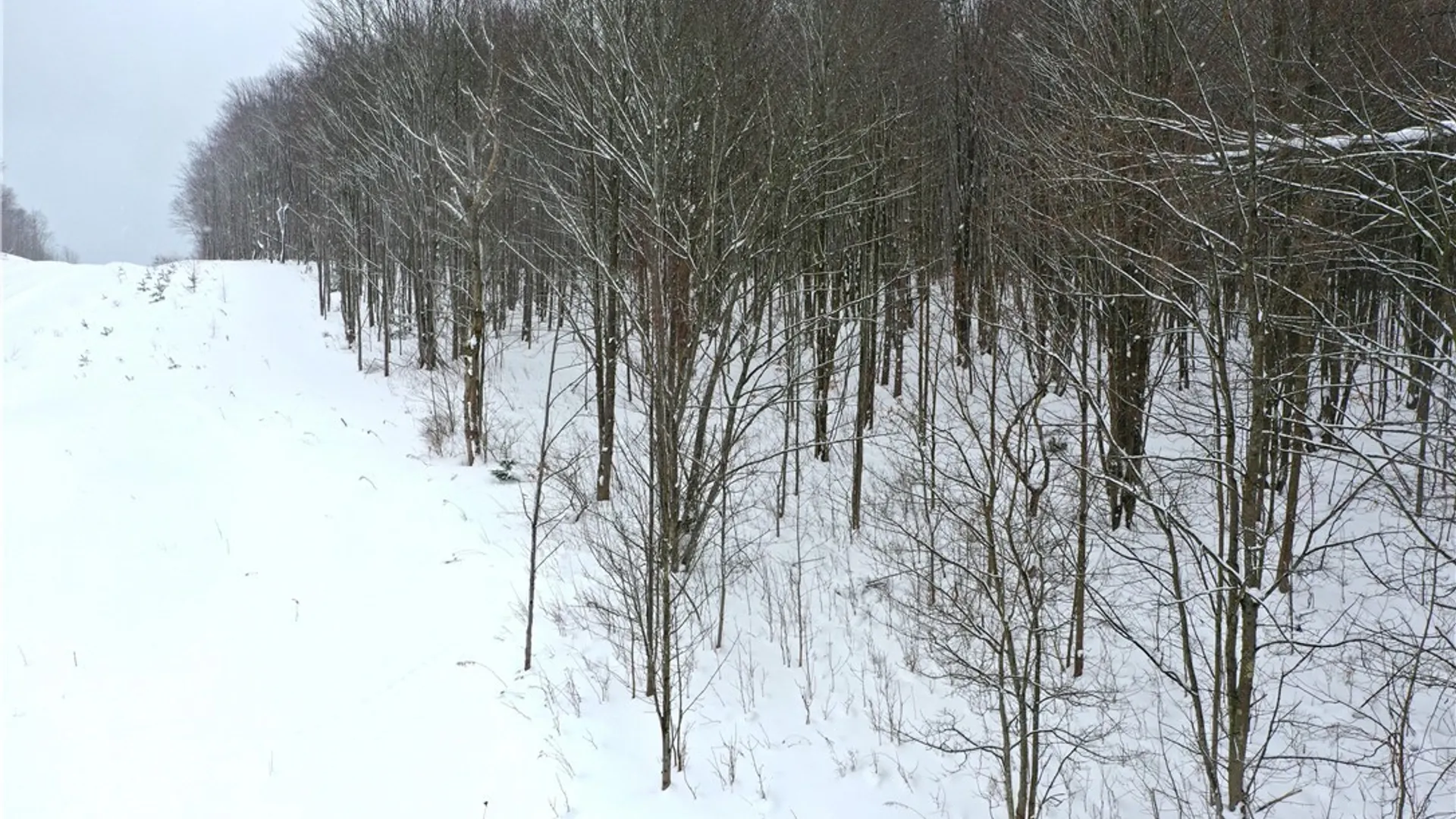 Property at 11 Trail Heights, Ellicottville, NY 14731 18