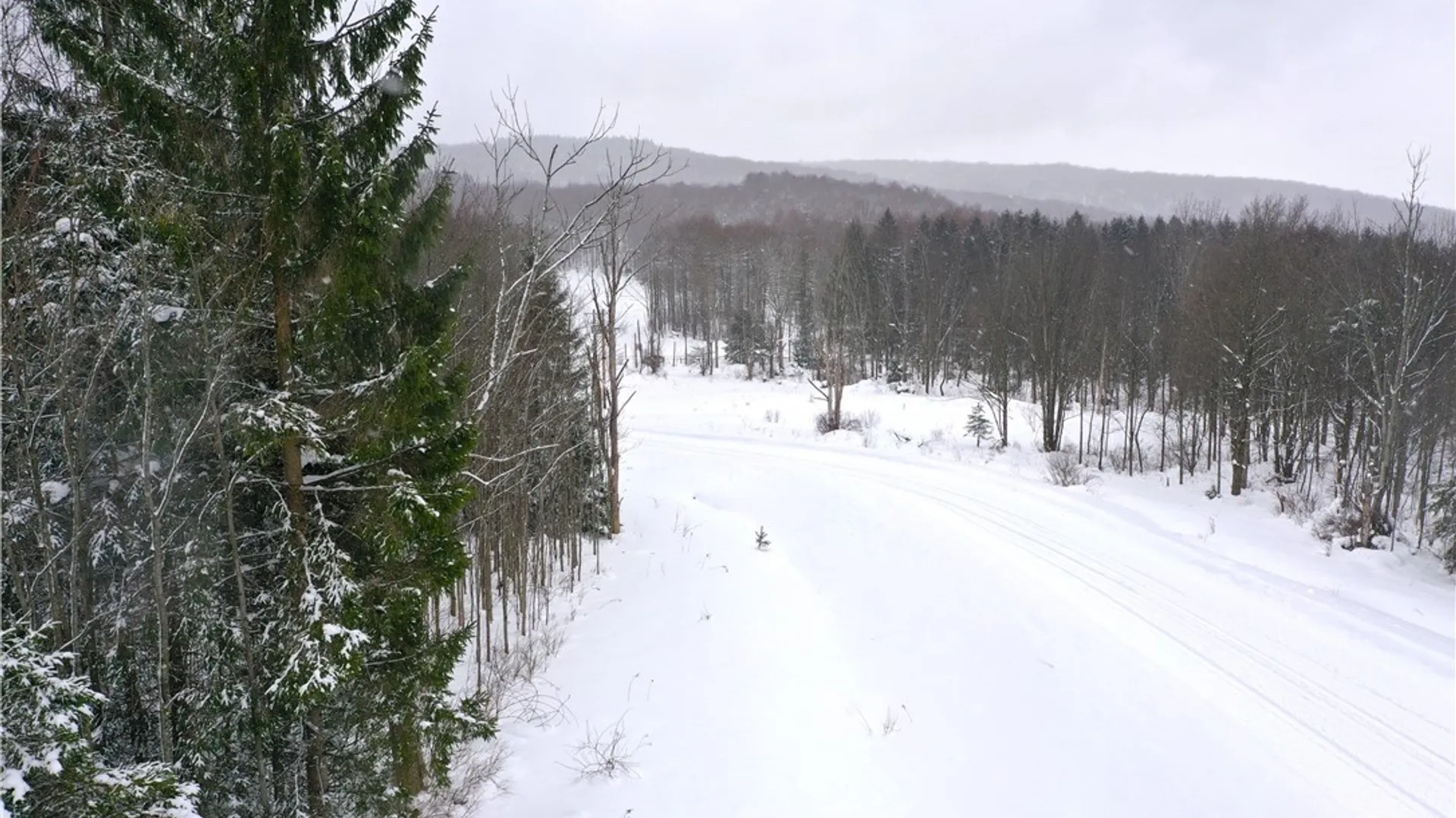 Property at 11 Trail Heights, Ellicottville, NY 14731 11
