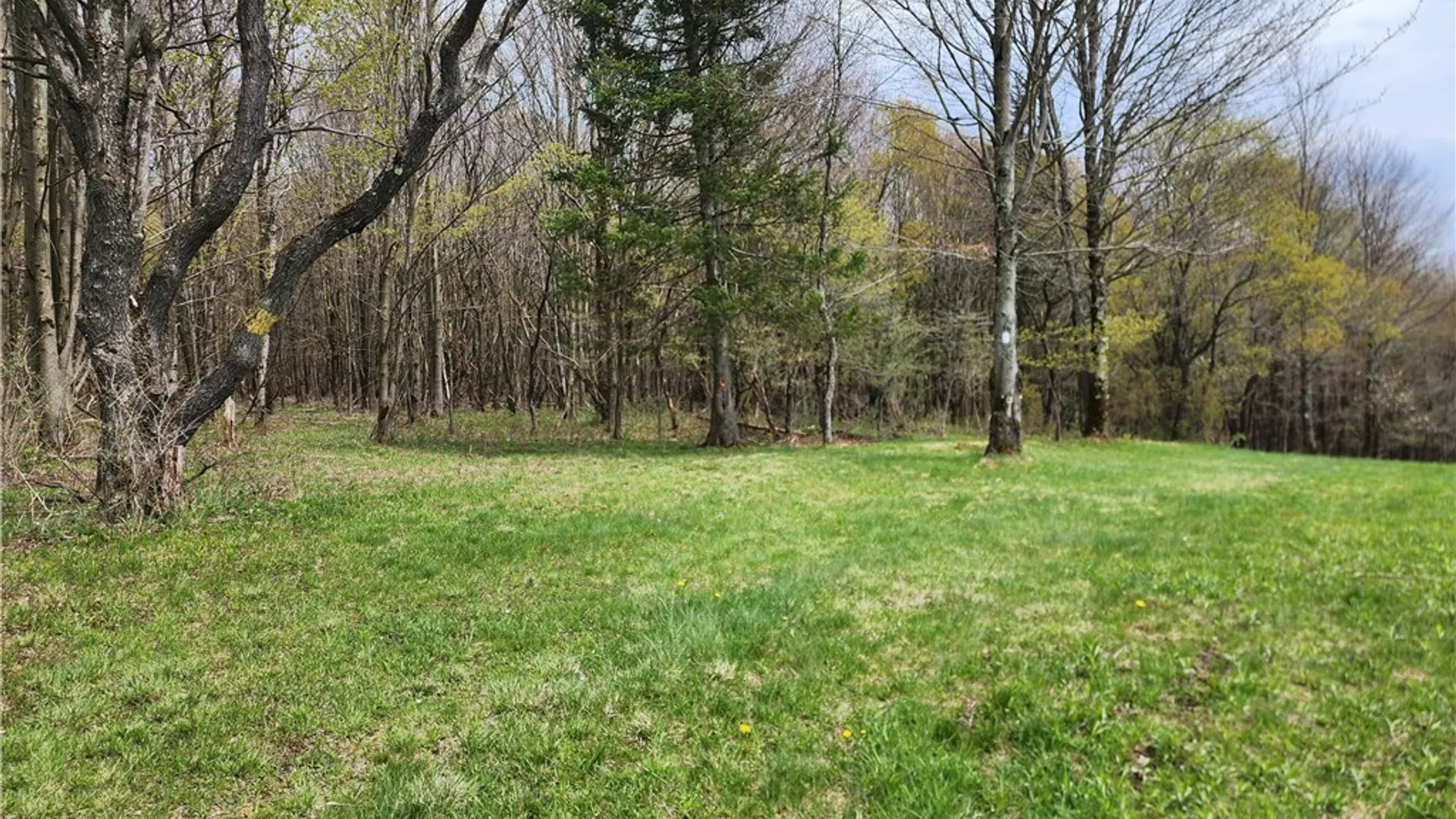 Property at 11 Trail Heights, Ellicottville, NY 14731 6