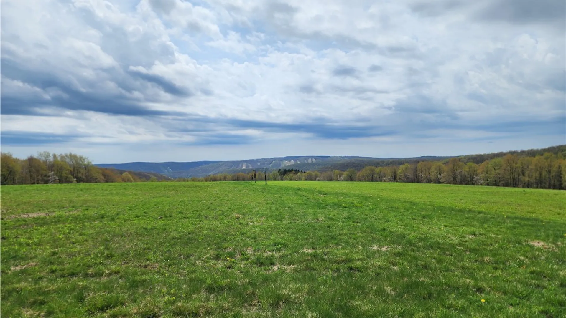 Property at 11 Trail Heights, Ellicottville, NY 14731 7