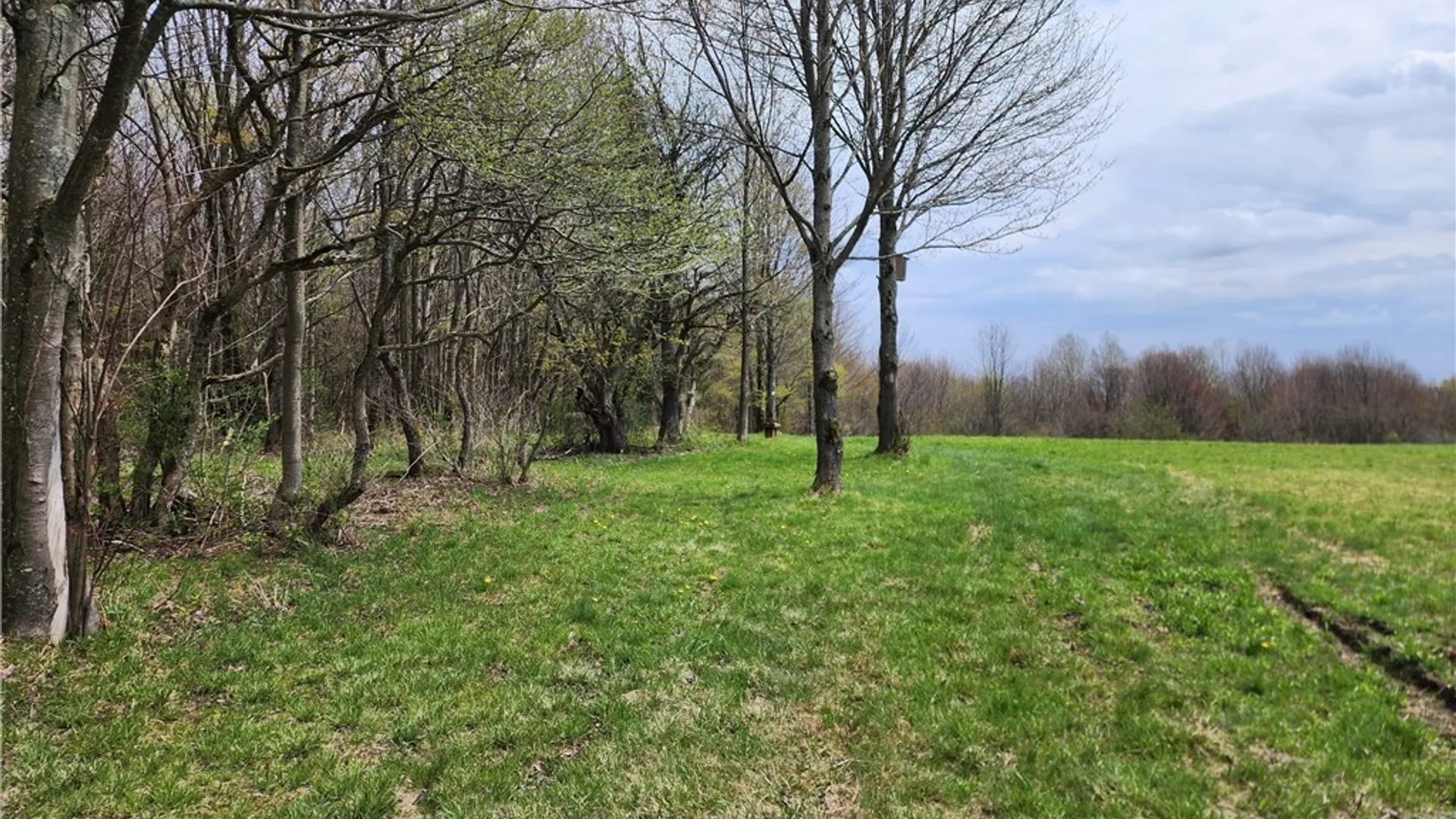 Property at 11 Trail Heights, Ellicottville, NY 14731 8