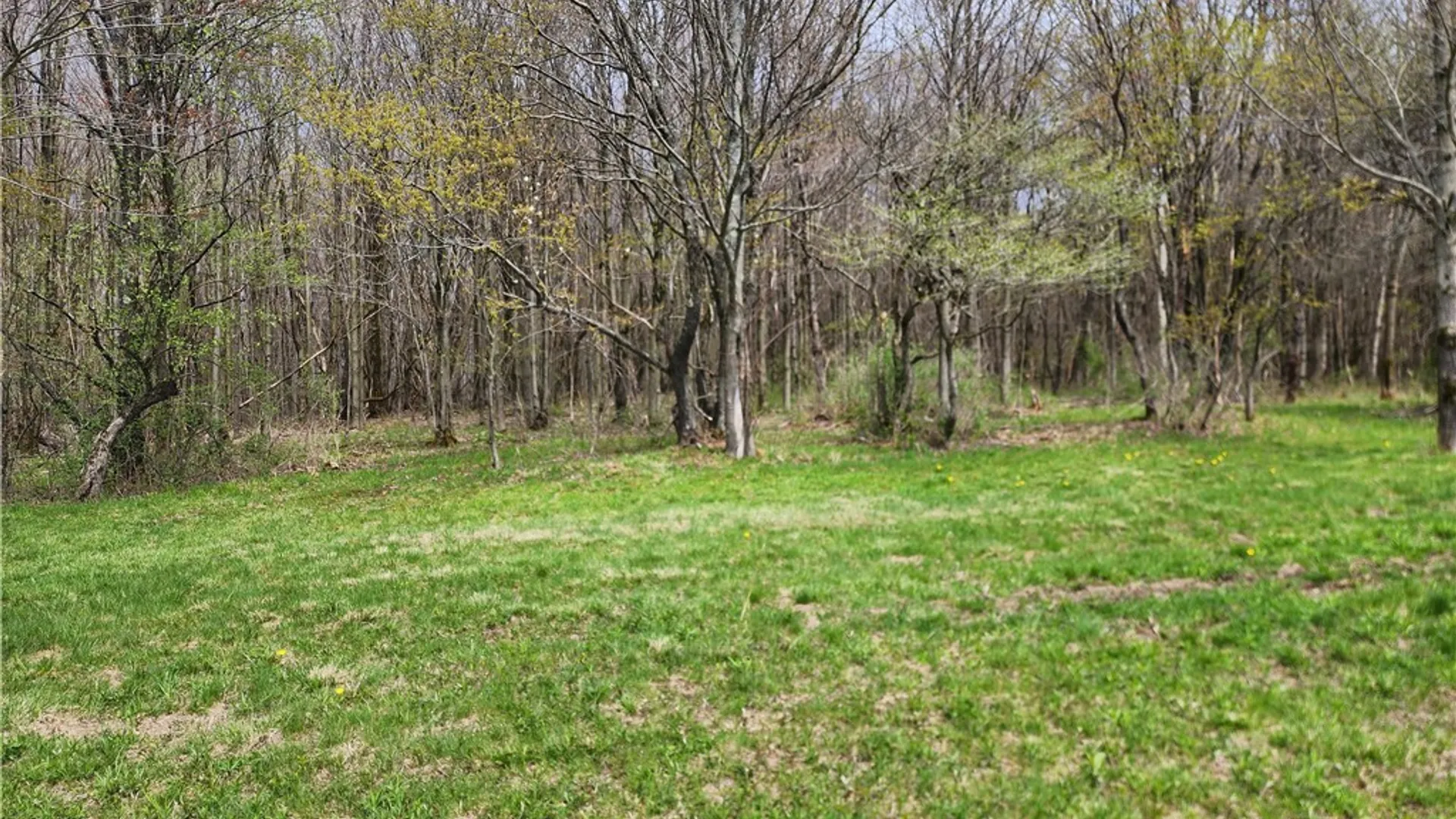 Property at 11 Trail Heights, Ellicottville, NY 14731 9