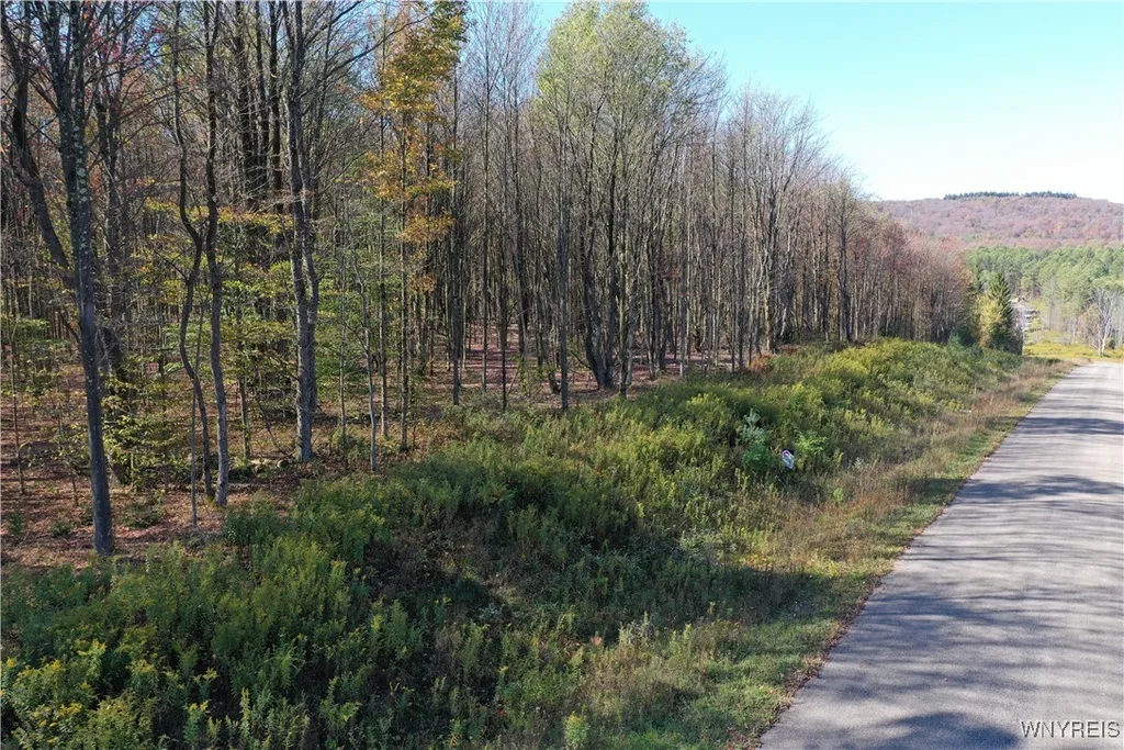 Property at 11 Trail Heights, Ellicottville, NY 14731