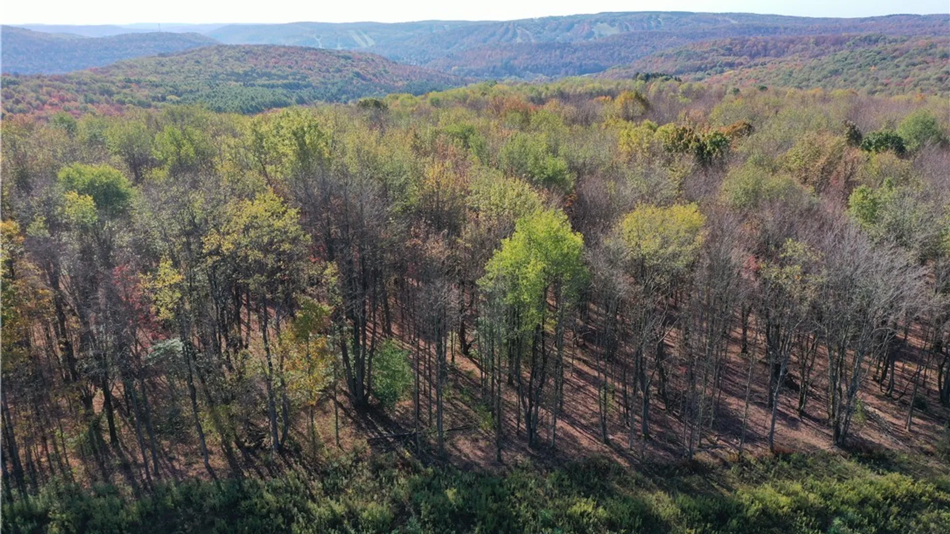 Property at 11 Trail Heights, Ellicottville, NY 14731 3