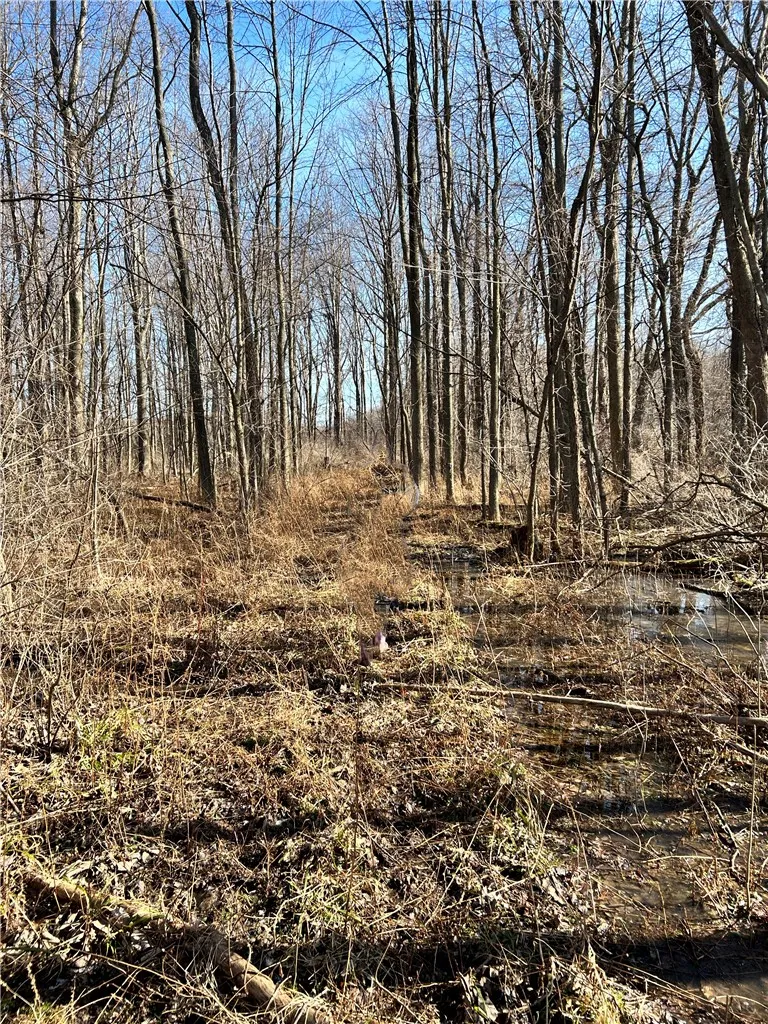 Property at West Kendall Road, Kendall, NY 14476