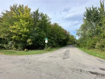 Property at 9528 Chippewa Street, Evans, NY 14006