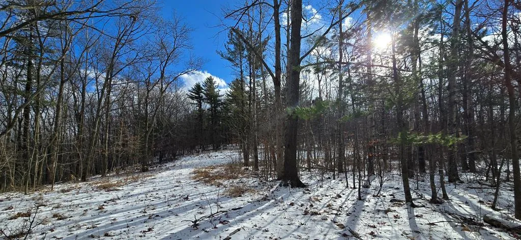 Property at 3117 Smith Road, Ashland, NY 14894