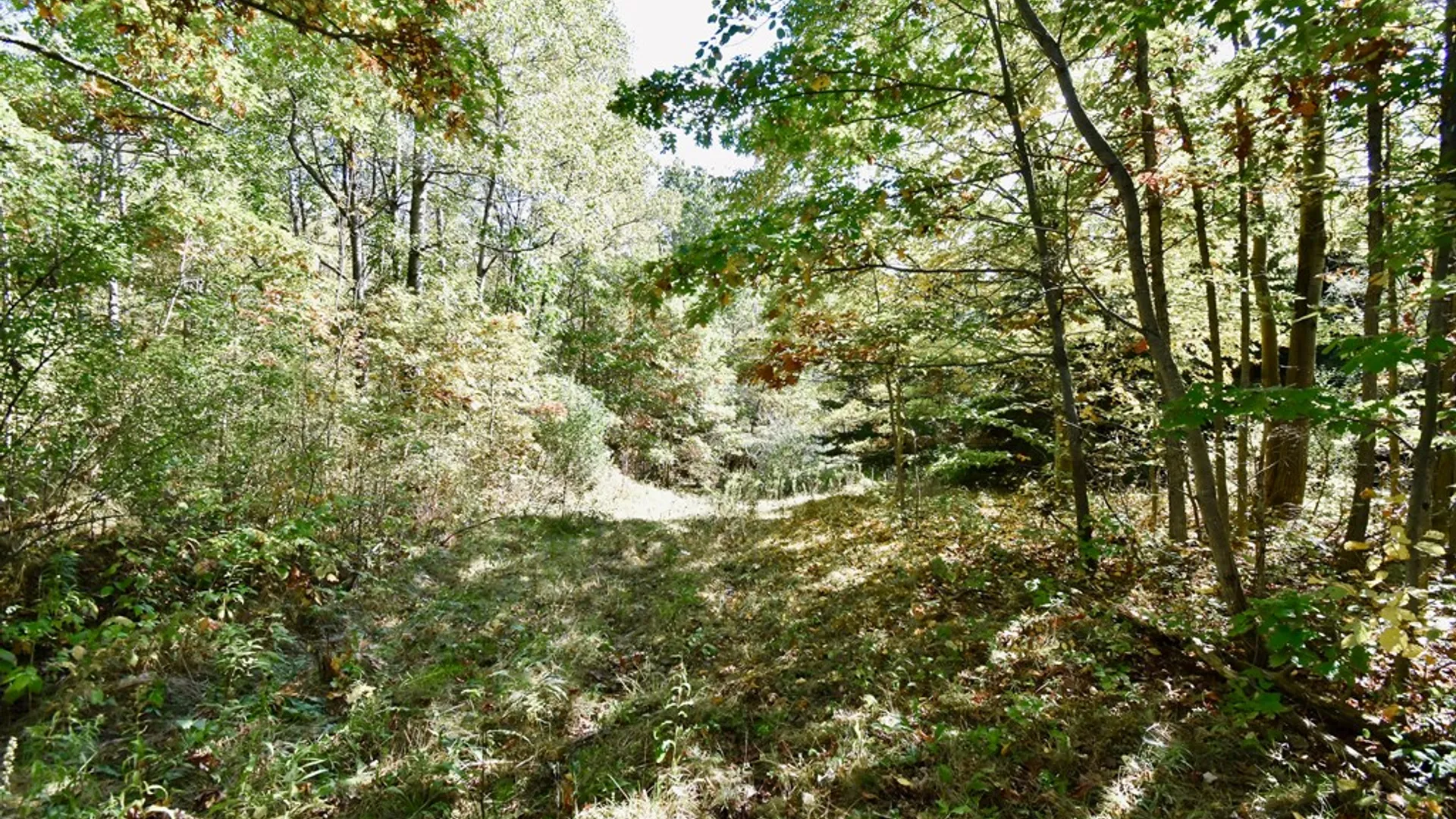 Property at 1980 COUNTY RT. 81, Rathbone, NY 14801 6