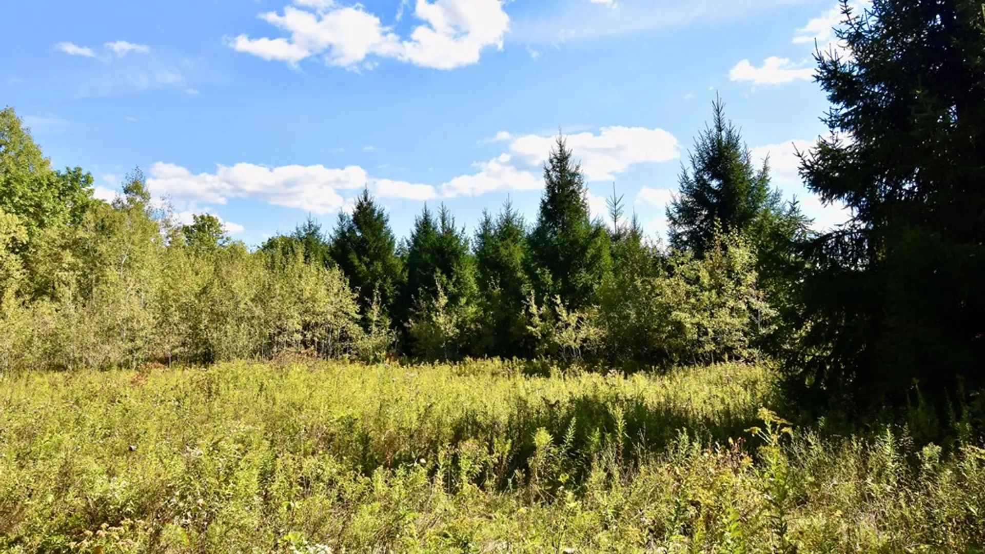 Property at 1980 COUNTY RT. 81, Rathbone, NY 14801 9