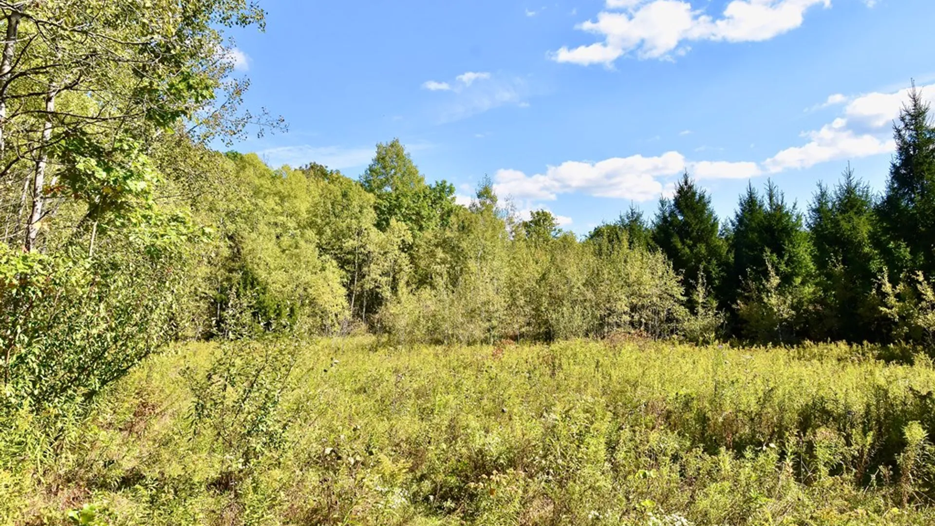 Property at 1980 COUNTY RT. 81, Rathbone, NY 14801 10