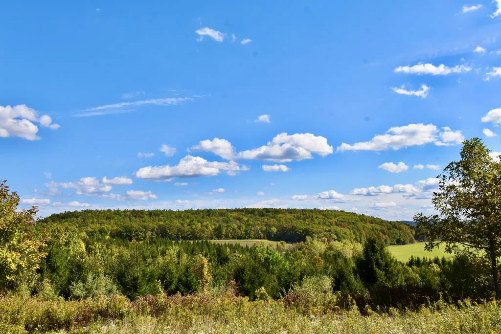 Property at 1980 COUNTY RT. 81, Rathbone, NY 14801