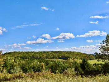 Property at 1980 COUNTY RT. 81, Rathbone, NY 14801