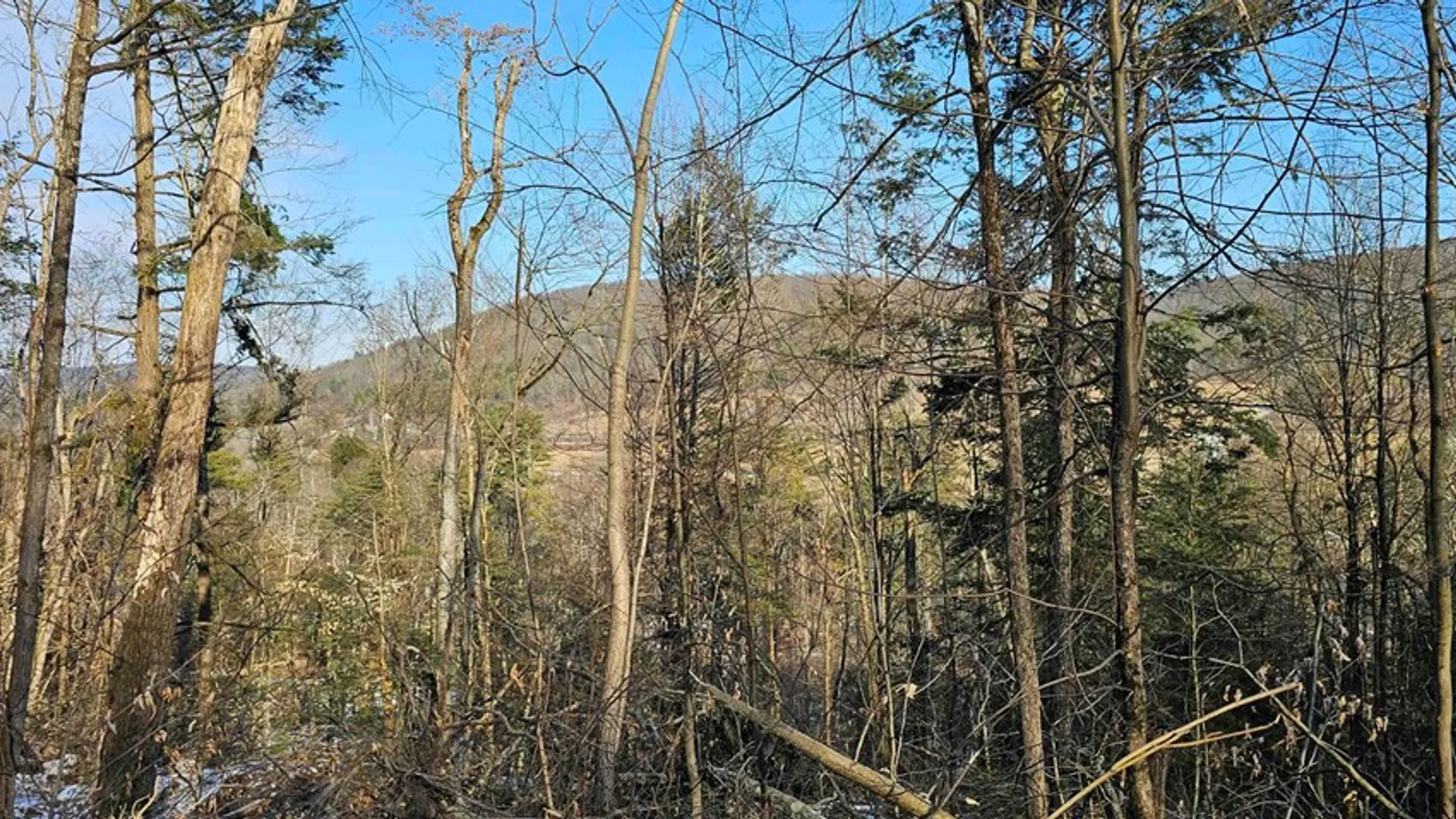 Property at 00 Jenkins Road, Elmira, NY 14861 19