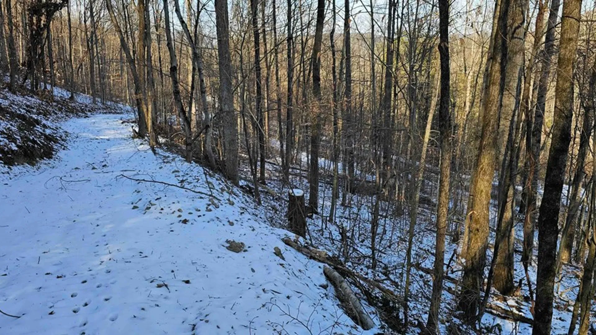 Property at 00 Jenkins Road, Elmira, NY 14861 22