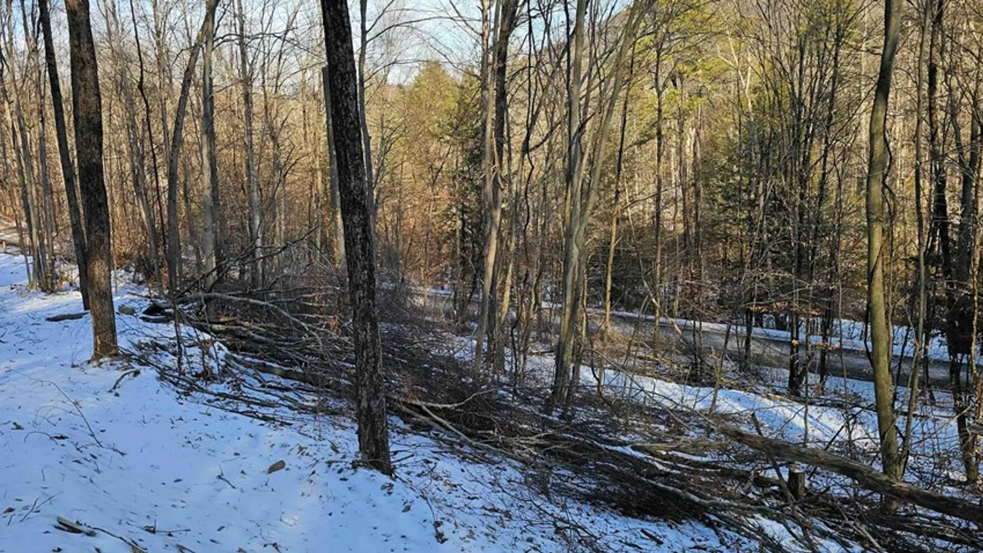 Property at 00 Jenkins Road, Elmira, NY 14861 23