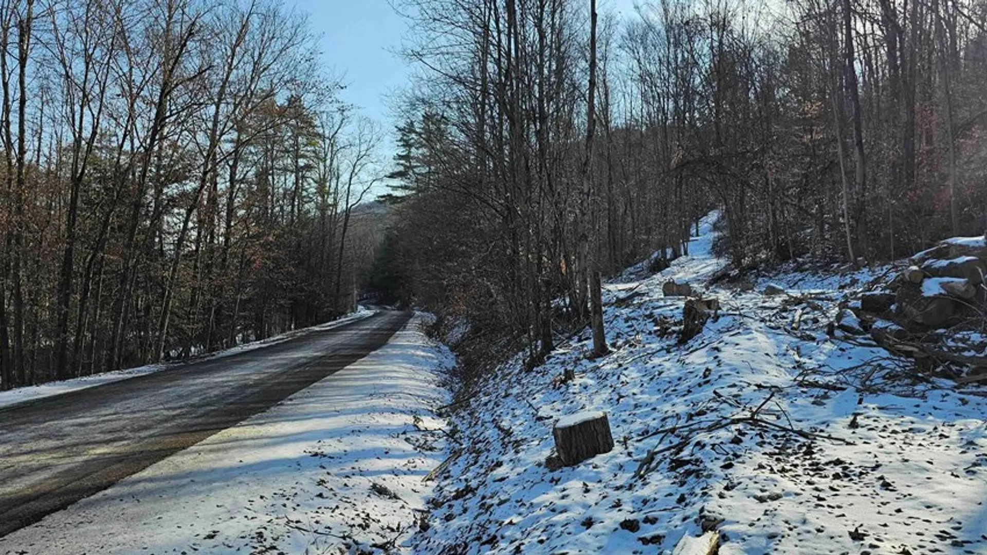 Property at 00 Jenkins Road, Elmira, NY 14861 5