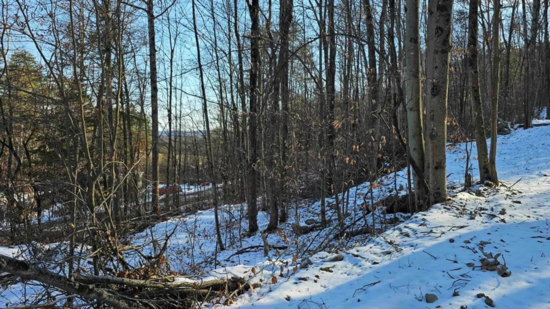 Property at 00 Jenkins Road, Elmira, NY 14861 6