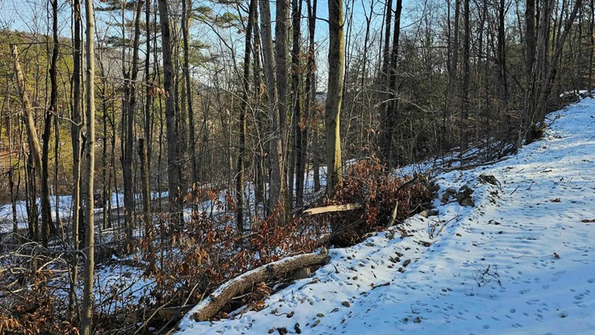 Property at 00 Jenkins Road, Elmira, NY 14861 7