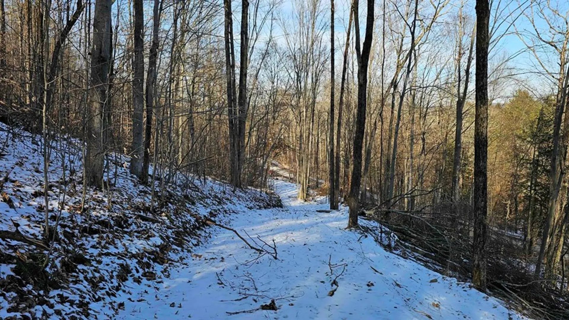 Property at 00 Jenkins Road, Elmira, NY 14861 8