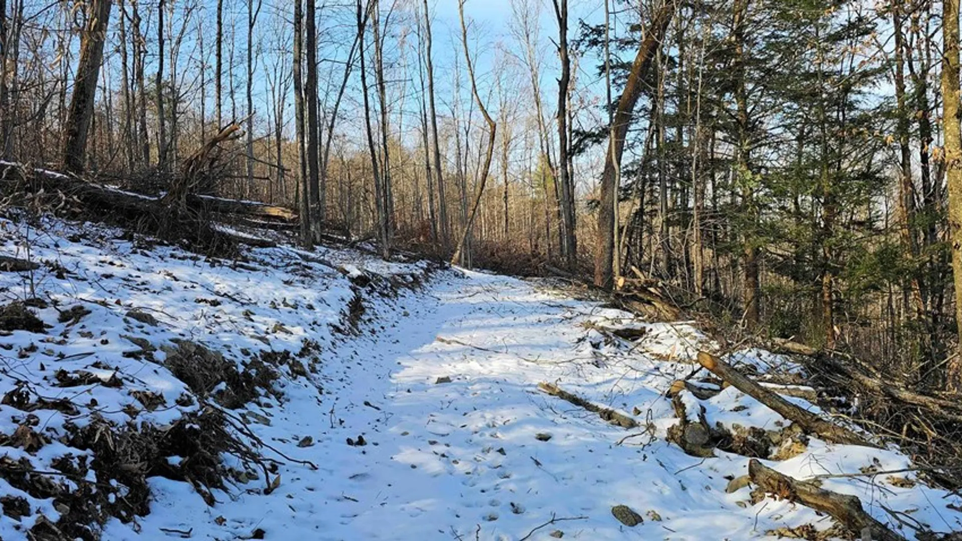 Property at 00 Jenkins Road, Elmira, NY 14861 9