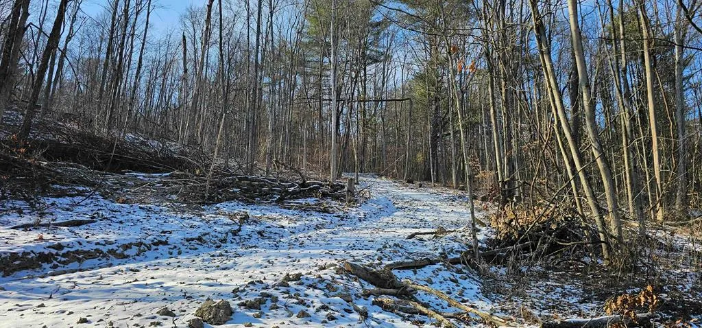 Property at 00 Jenkins Road, Elmira, NY 14861